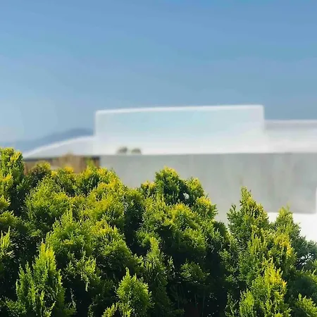 Apartman Kokkinos' Windmill *