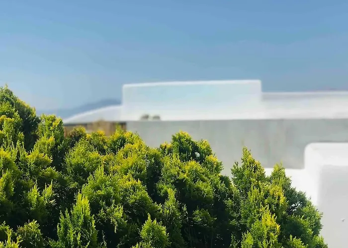 Daire Kokkinos' Windmill *